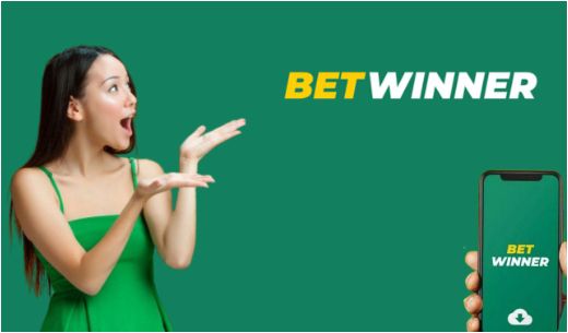 Exploring the BetWinner Gambling Platform A Comprehensive Review